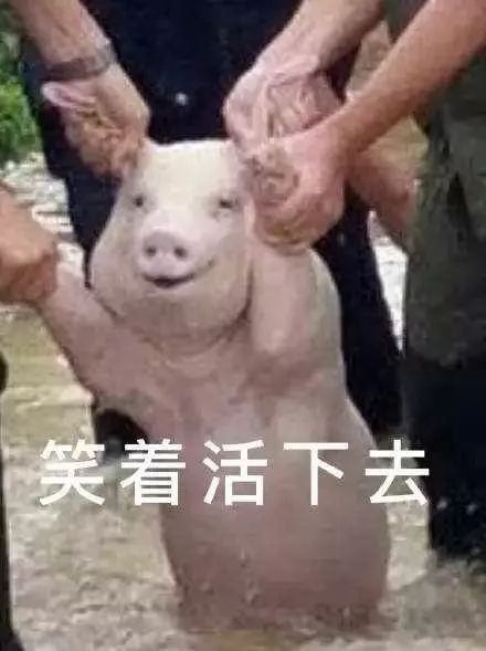 一个水货来深圳了今年首个暴雨红色预警已生效,不过