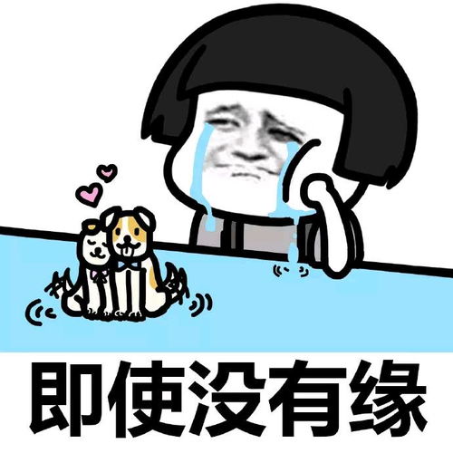 幽默笑话遇到个奇葩的客人,点个外卖还要留个道歉字条披萨