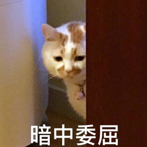 表情包动图搞笑无奈不再是朋友