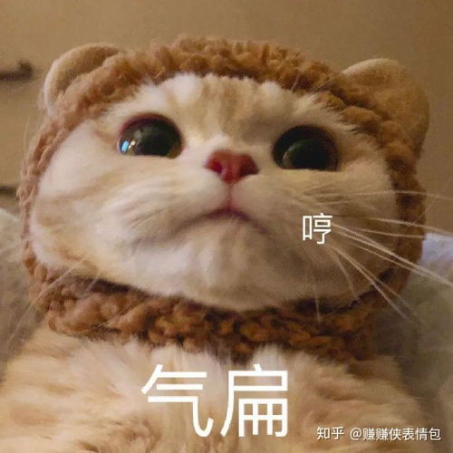 搞笑表情包图片一组莫名其妙表情包图片