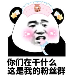 你们在干什么,这是我的粉丝群粉丝干什么你们这是表情发表情...