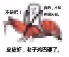求皮皮虾我们走表情包