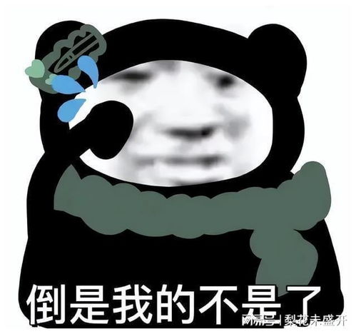 文案适合发朋友圈的搞笑文案
