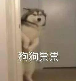 hbo大尺度新剧,巴西版全裸导演