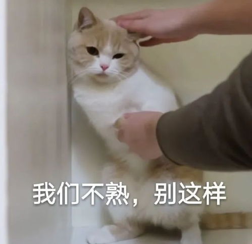 搞笑表情包更新我懂的,这就是生活