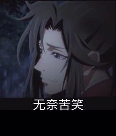 魔道祖师魏无羡搞笑表情包15张