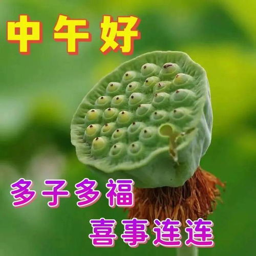 晚上好图片大全,晚上好漂亮表情图片,愿你健康好梦连连