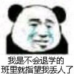 网红熊猫头表情包我是不会退学的,班里就指望我丢人了