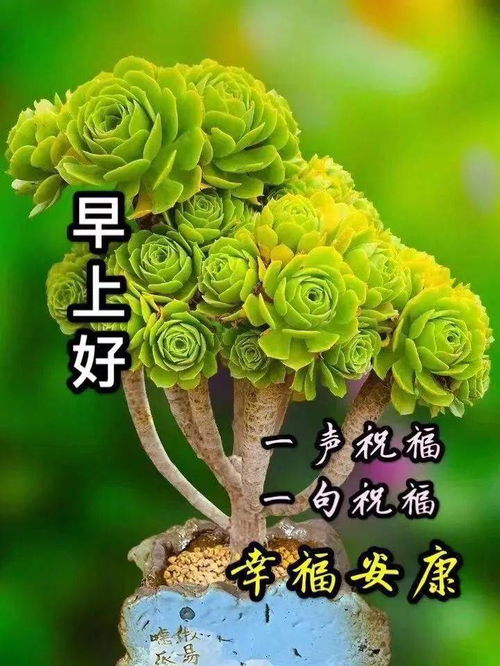 6月8日周一群发早上好问候祝福动态表情图片6月最美早晨好问候表情动态图片