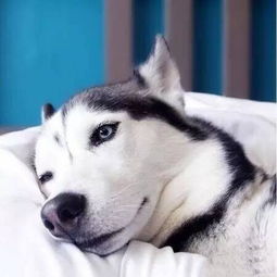 你是从什么时候开始,感受到了岁月的残忍
