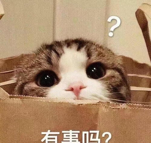 影帝扎堆反转烧脑,神仙阵容又来搞事情了