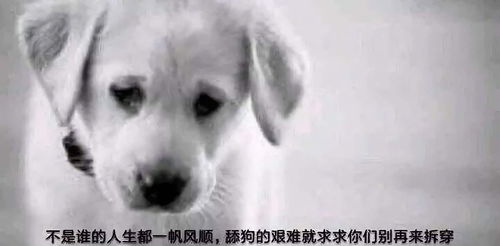 绿地集团出轨门不要做那张安全牌