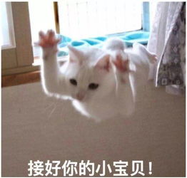 他们放弃了美少女人设但是这个人设,不是谁都可以走的