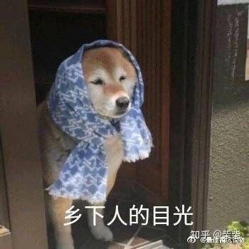 有没有沙雕动图表情包