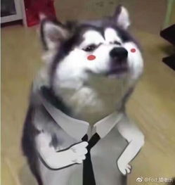 身高158的女生要瘦到多少斤才能看起来特别美