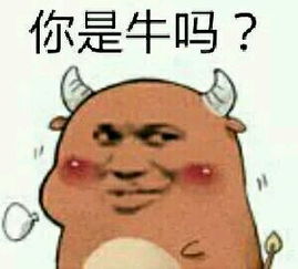 十二生肖表情包你是猪吗囧图美图着迷网joyme