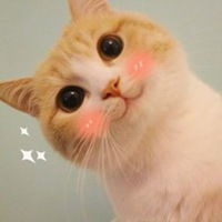 橘猫卡通头像微信头像图片大全
