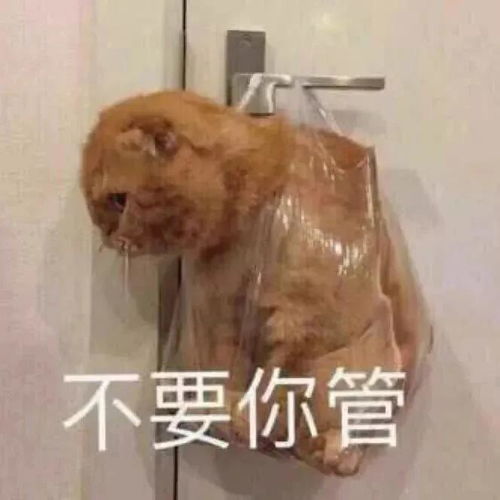 幽默搞笑表情包要抱抱