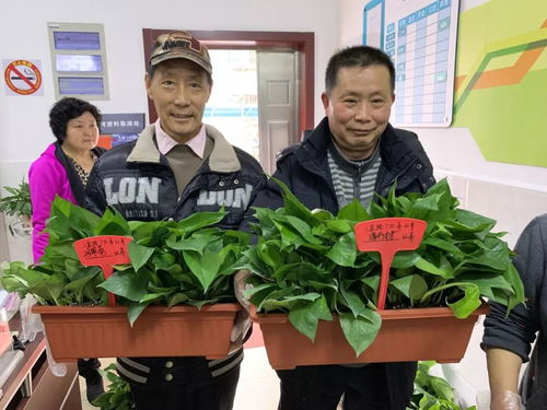 组织动态静安权舆社区公益服务中心荣获彭浦新村街道2019年度优秀公益服务项目