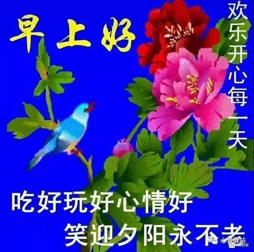 8月21日最新漂亮真人美女早上好动画表情包最美早安问候祝福美女动态表情图片