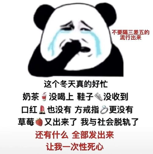 抖音表情包老公给我买个吧,这个冬天真的好忙