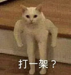 希望儿子能像这男朋友一样的爱学习