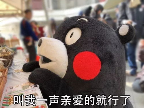 喜欢我吧成本不高还特别好撩