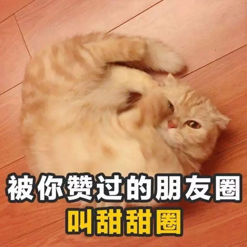 撩妹大法那是我土甜土甜的青春