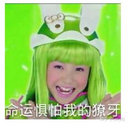 搞笑跳舞表情包动态壁纸