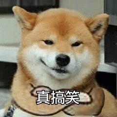 逗比搞笑动态表情包卧槽碰瓷啊,我得赶紧跑路