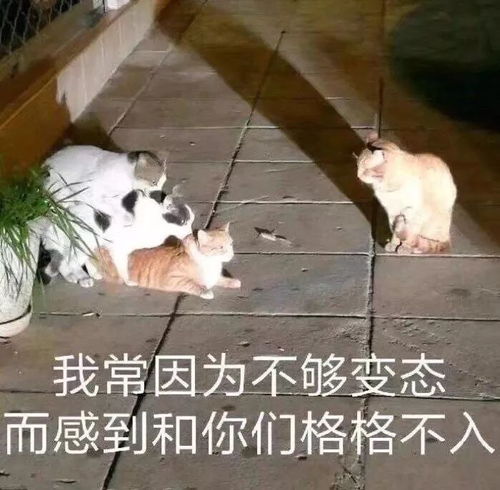 ta是想上你,还是对你产生了爱情