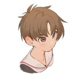 魔卡少女樱太太手中的人物头像,随便两张都是情头,樱狼已抱走