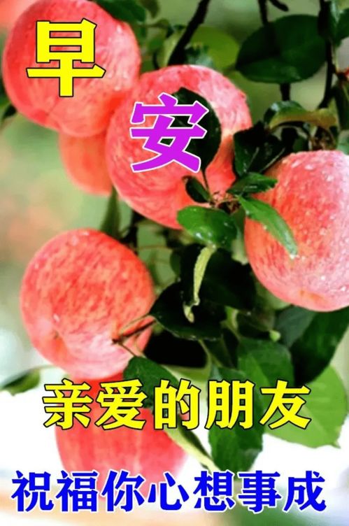 用眼看世界,难免一叶障目用心观世界,万物尽收于眼底早安沉默