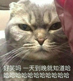 千万别让男朋友拍这种照片