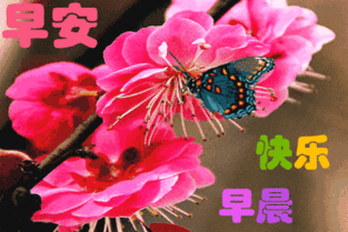 非常漂亮的清晨早上好表情祝福语动态图片,微信早上好祝福短信