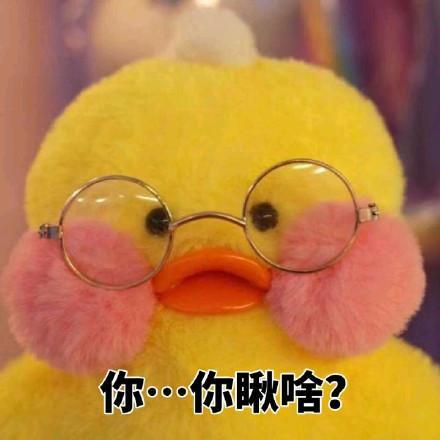 搞笑一组超可爱的黄鸭表情包,为什么还没暴富啊