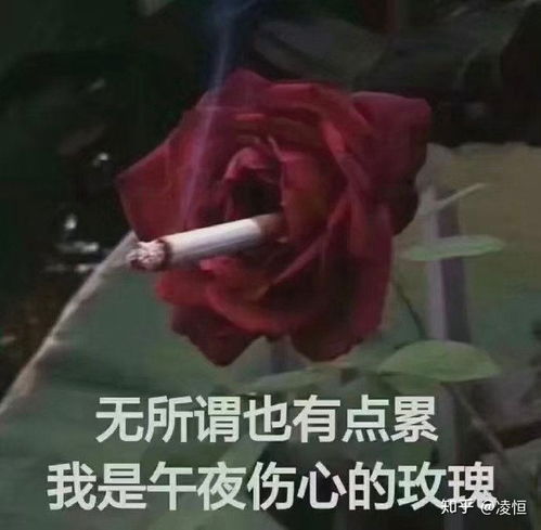 有哪些可以发动态的沙雕文案