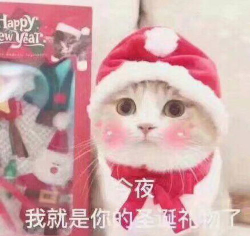 可爱的圣诞节表情包
