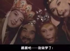 全面放开三孩北京人,你会生吗