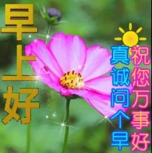 最新版非常漂亮的早上好表情图片温馨早安心语语录