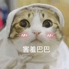 你,还单身的理由