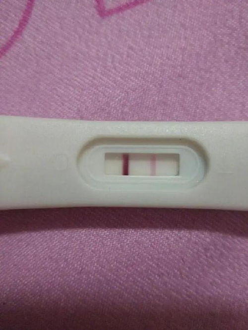 能吓死男朋友的套路恶搞表情图我怀了你的崽,不信你看看
