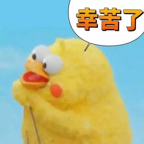 寒招回访第五站掠影