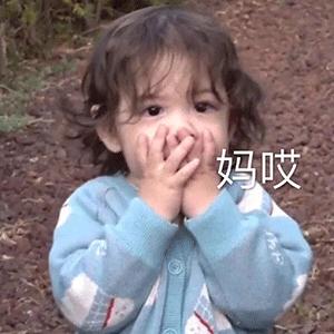 我的收藏夹