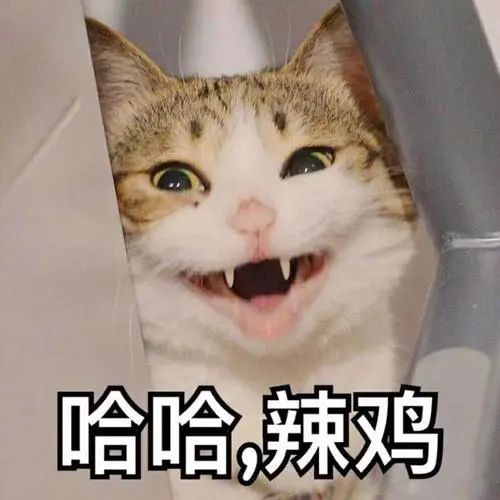 台湾变性网红自曝在腹部打洞已成功怀孕,专家驳斥违背现今医学