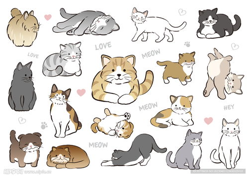 手绘卡通猫矢量设计图