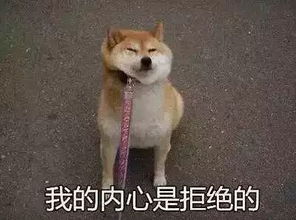 有点意思,这届新秀球还没开始打上戏倒是不少