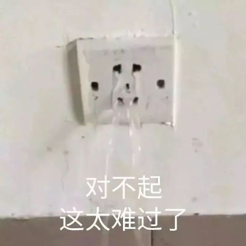 有哪些看一眼就想拿来发说说的句子