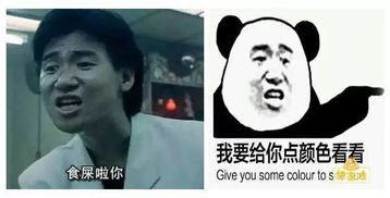 爆笑图片表情包谁都有,但原型你见过吗