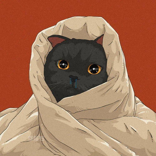 猫右超喜欢这种可爱的猫咪情侣头像绝绝子